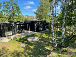 Holiday home HÄLLEVIKSSTRAND V in Hälleviksstrand